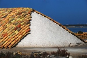 solni cvet